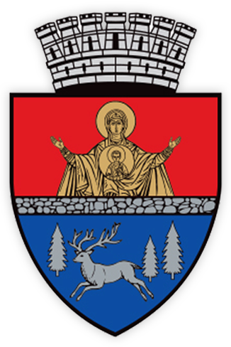 Logo Primaria Municipiului Bacau